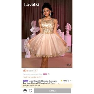 Shein Belle Champagne Gold Embroidered Mesh Fit‎ & Flare Party Dress